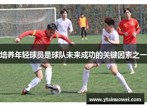 培养年轻球员是球队未来成功的关键因素之一