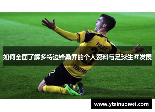 如何全面了解多特边锋桑乔的个人资料与足球生涯发展