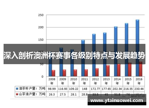 深入剖析澳洲杯赛事各级别特点与发展趋势